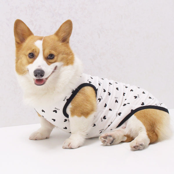 Thin PET Vest Anti-lint