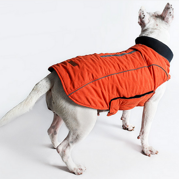 A Pet Thermal Jacket Vest