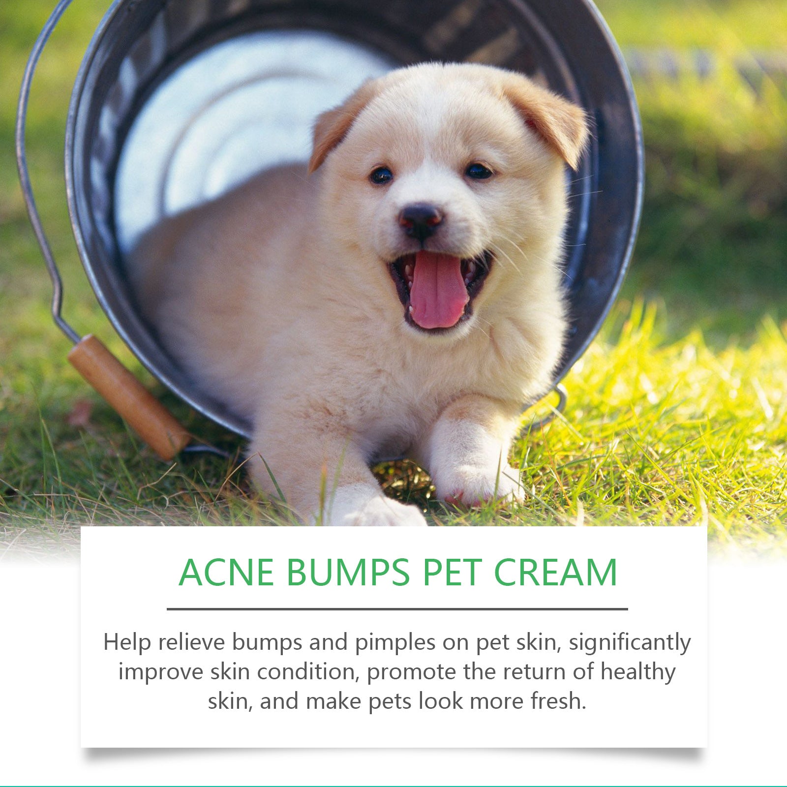Skin Hair Healthy Pet Skin Neck Cream