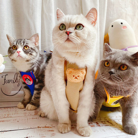 Pet Car Pad Package Anti-escape And Anti-grab